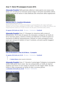 Miranduolo 2010 - Portale di Archeologia Medievale