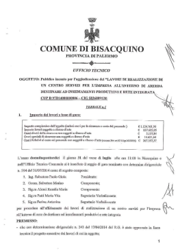 verbale n. 1 del 31.07.2014 centro servizi pip