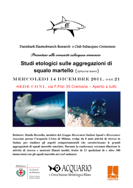 Studi etologici sulle aggregazioni di squalo martello