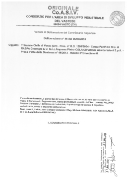 Delibera n. 46 del 06/03/2013