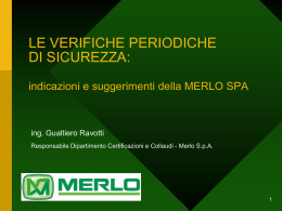 sollevatore telescopico
