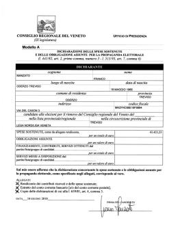 Dichiarazione concernente le spese sostenute e le obbligazioni