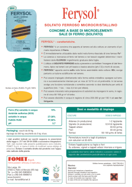 III. - Fomet S.p.A.