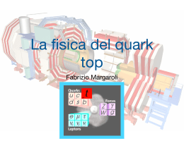 Top_quark_lecture copy