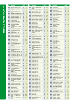 INDICE NUMERICO