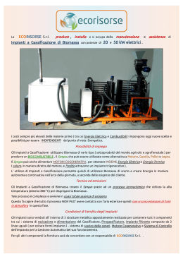 ECORISORSE S.r.l. Impianti a Gassificazione di Biomassa con