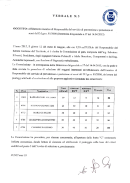 VERBALE N.3