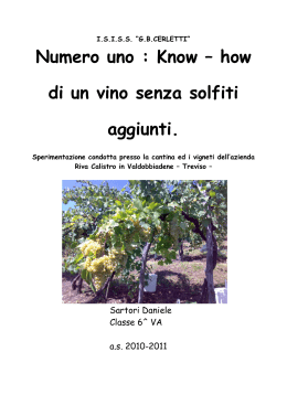 Sartori Daniele tesina - Confraternita Vite & Vino