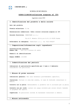 SODIO CLORURO soluzione acquosa al 15%
