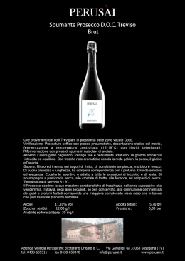 Prosecco Spumante Brut Doc TV