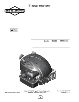 Scarica PDF - Briggs & Stratton