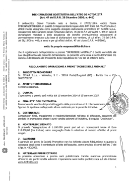 Leggi il regolamento