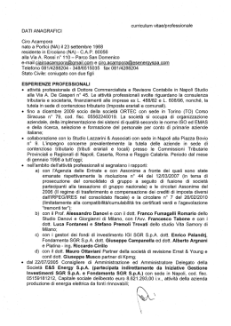 curriculum vitae/professionale