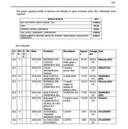 L`elenco delle spese di Nicol&ograve; Scialfa nel 2011