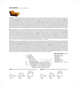 tecnico 2013 0611 tracciati.fh
