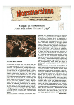 Numero 1 - Comune di Montemarzino