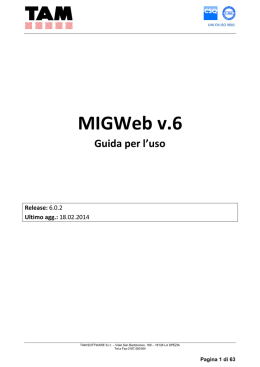 MIGWeb v.6