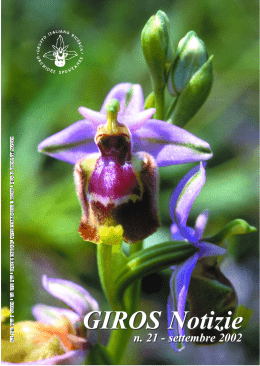 Notiziario 5 - GIROS - Gruppo Italiano per la Ricerca sulle Orchidee
