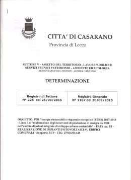 Det.n.1167 201 Incarico SUPPORTO RUP geom.Virgulto