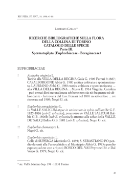 N. 19 definitivo - Museo Civico di Storia Naturale