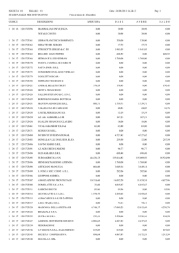 partitario 2009 12017 crediti v/clienti privati