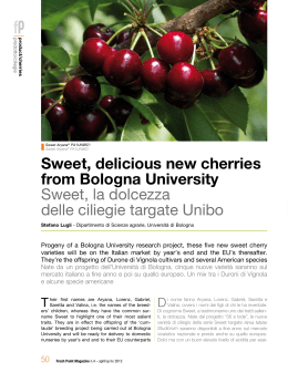 Sweet, delicious new cherries from Bologna University Sweet, la