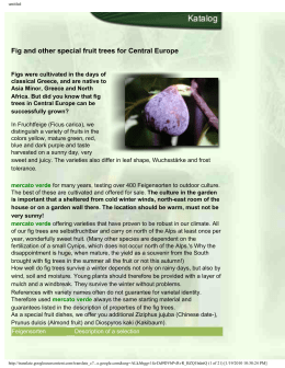 Fig and other special fruit trees for Central Europe