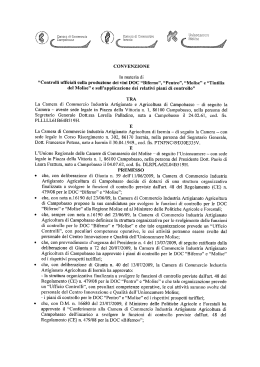 Convenzione - CCIAA di Campobasso