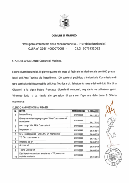 verbale gara fontanella