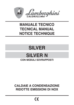 SILVER SILVER N