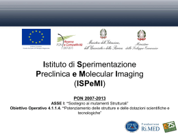 Istituto di Sperimentazione Preclinica e Molecular Imaging (ISPeMI)