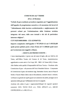 Verbale di gara mediante procedura negoziata per l`aggiudicazione