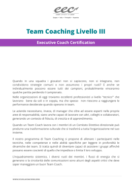 Executive Coach Certification, TEAM COACHING
