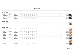 Situazione Analitica di Magazzino Compressa