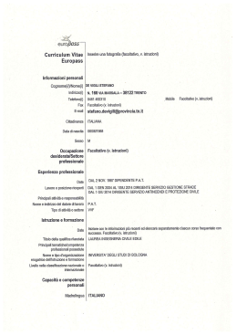 CV_Stefano De Vigili