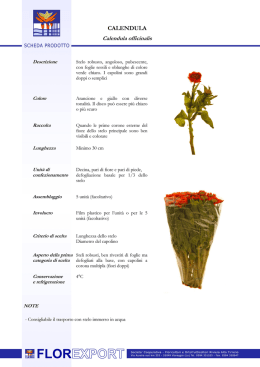 Scheda tecnica CALENDULA - Flor