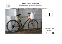 Scheda descrittiva dei lotti con immagini e prezzi a