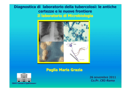 Maria_Grazia_Paglia Copy