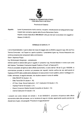 verbale - n 17 - Comune di Tremestieri Etneo
