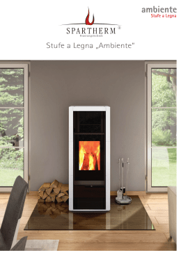 Stufe a Legna &bdquo;Ambiente&ldquo;