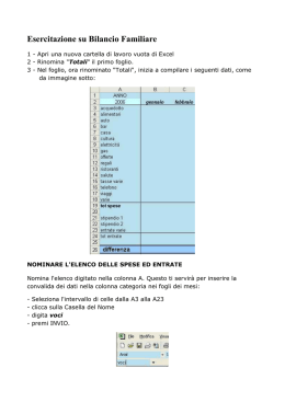 Esercitazione su Bilancio Familiare