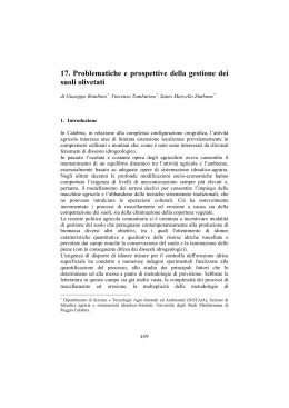 17. Problematiche e prospettive della gestione dei suoli olivetati