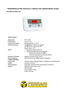 termoregolatore digitale 3 moduli per termocamini acqua