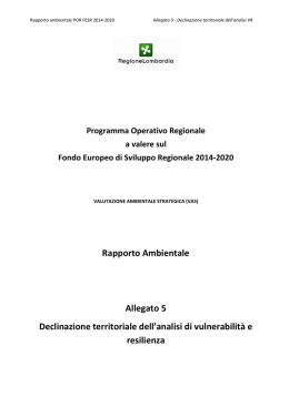 Rapporto Ambientale Allegato 5 Declinazione territoriale dell`analisi