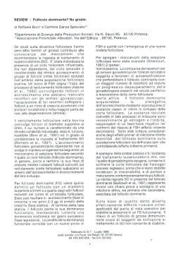 REVIEW : Follicolo dominante? No grazie.