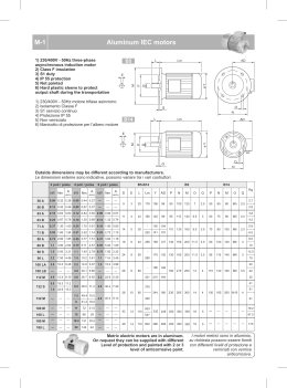 Aluminum IEC motors M-1