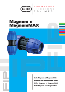 Magnum e MagnumMAX