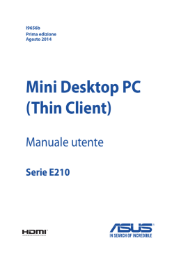 Mini Desktop PC (Thin Client)