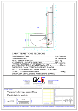 Toilet in Depressione - General Vacuum S.r.l.