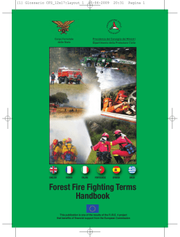 Forest Fire Fighting Terms Handbook